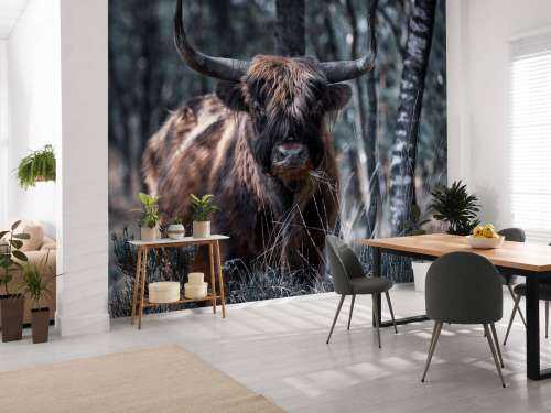 Scottish Highlander