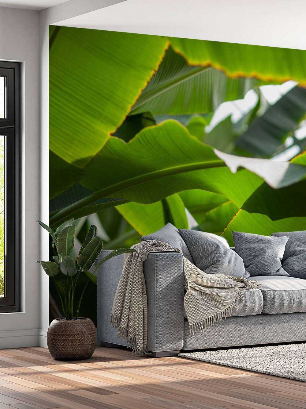 Palm leaves