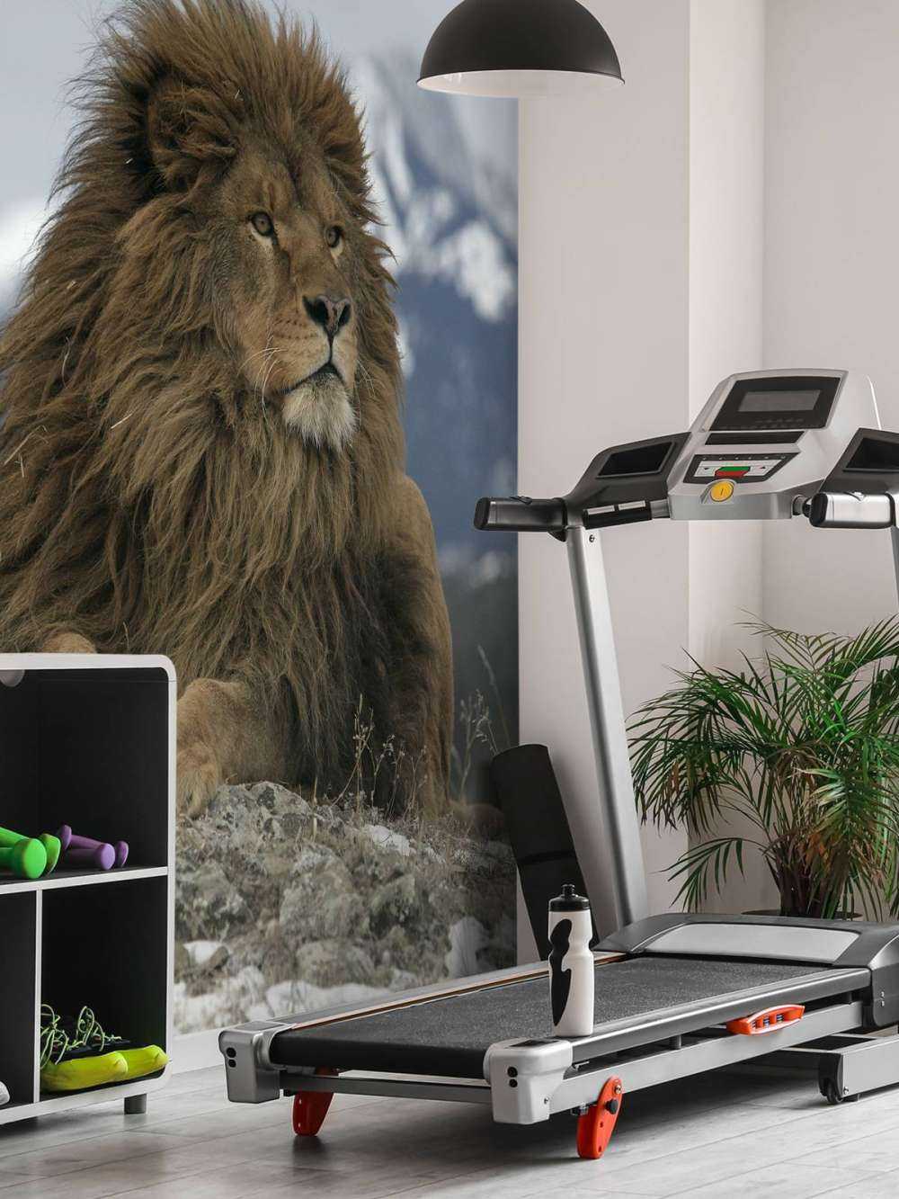 Barbary lion