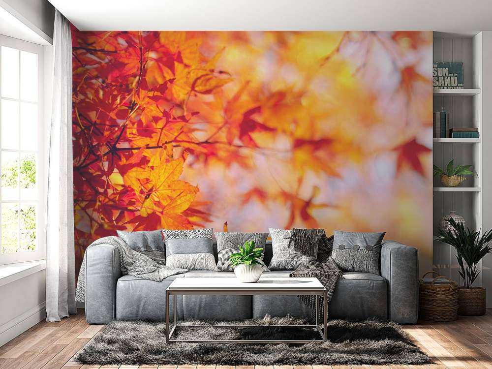Autumn leaves