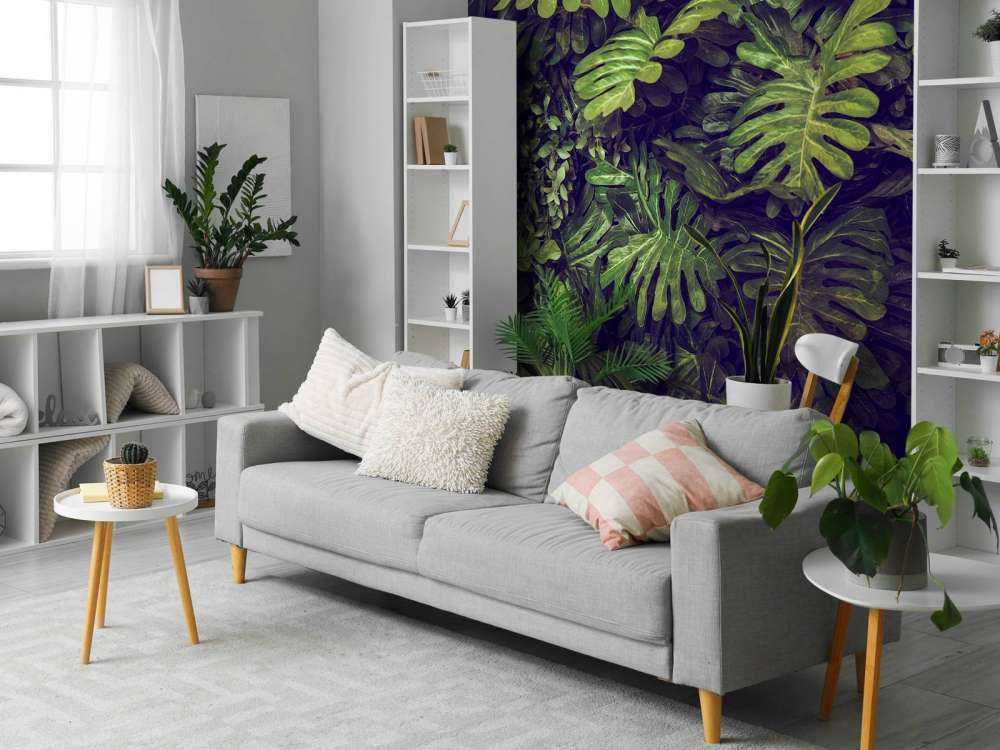 Groene Monstera Bladeren