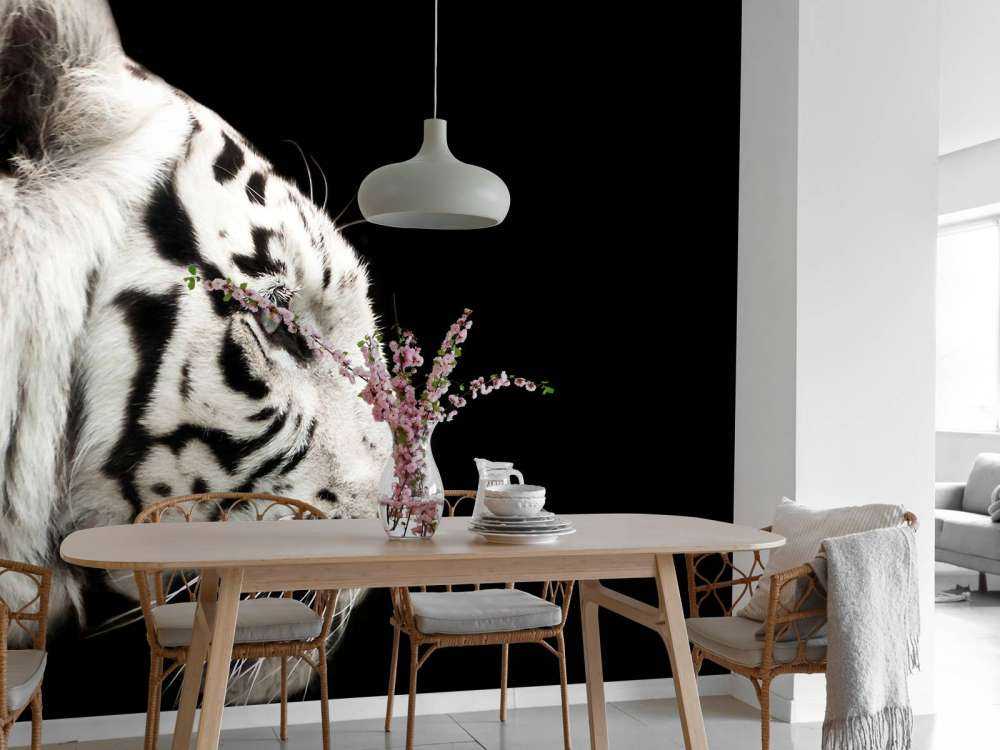 Witte tijger op zwarte achtergrond