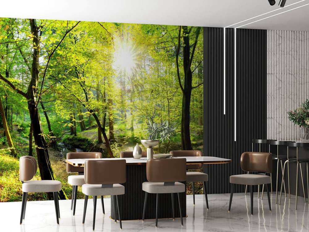 Forest with brook