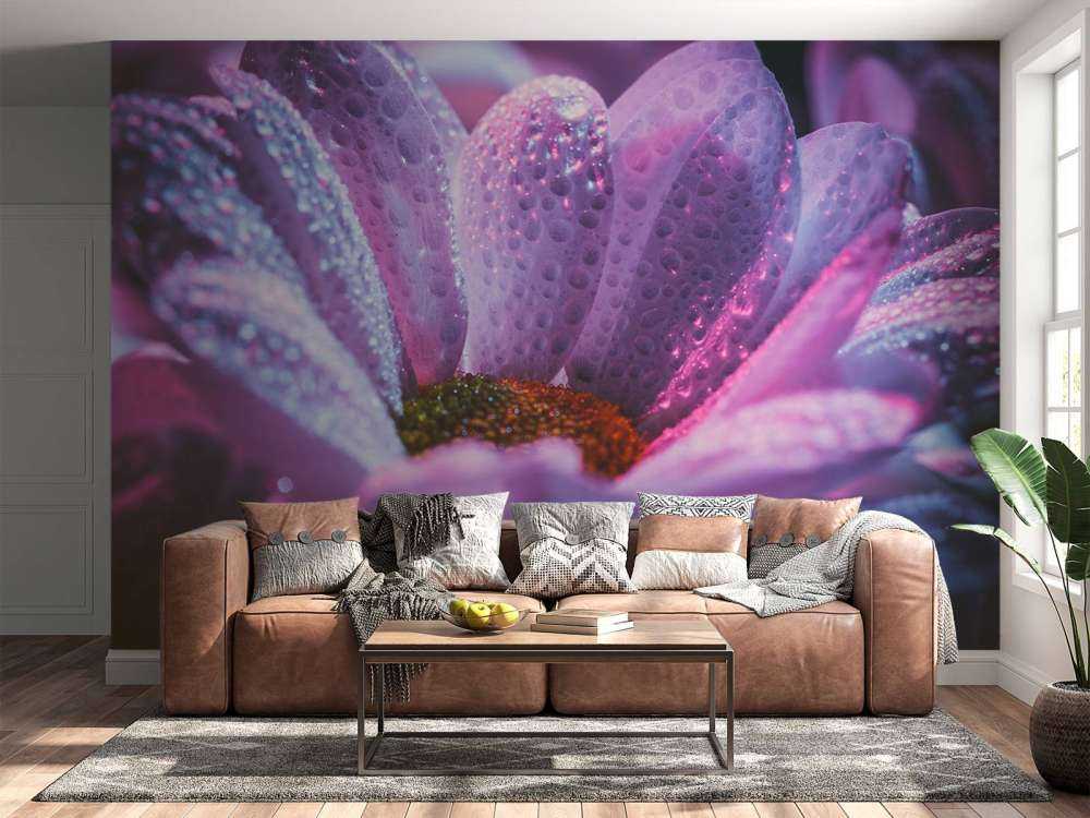 Chrysant bloem met dynamische kleuren