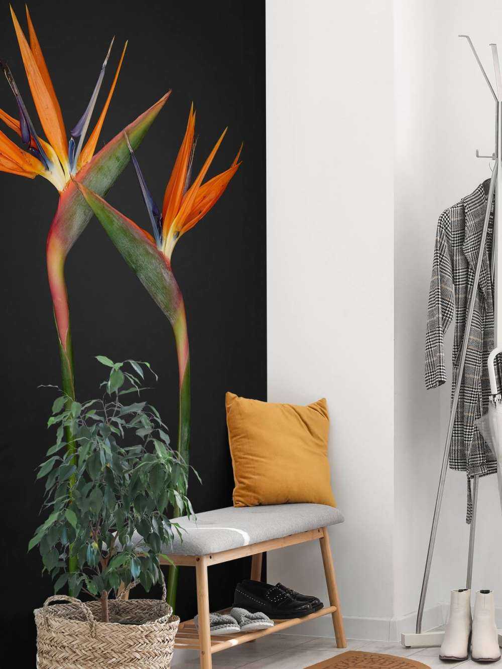 Oranje paradijsvogel bloemen