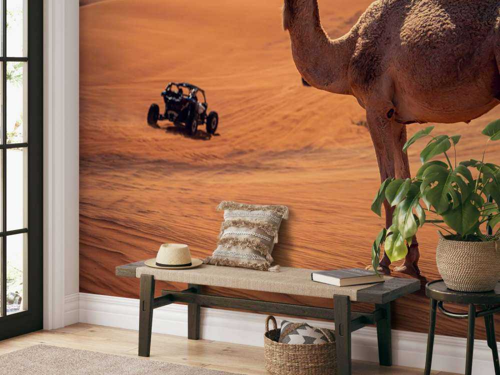 Off-road adventure in the desert