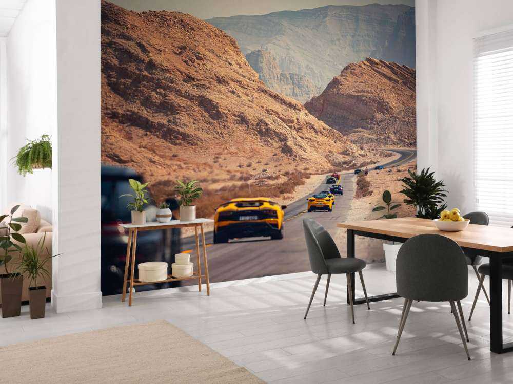 Supercars through the desert