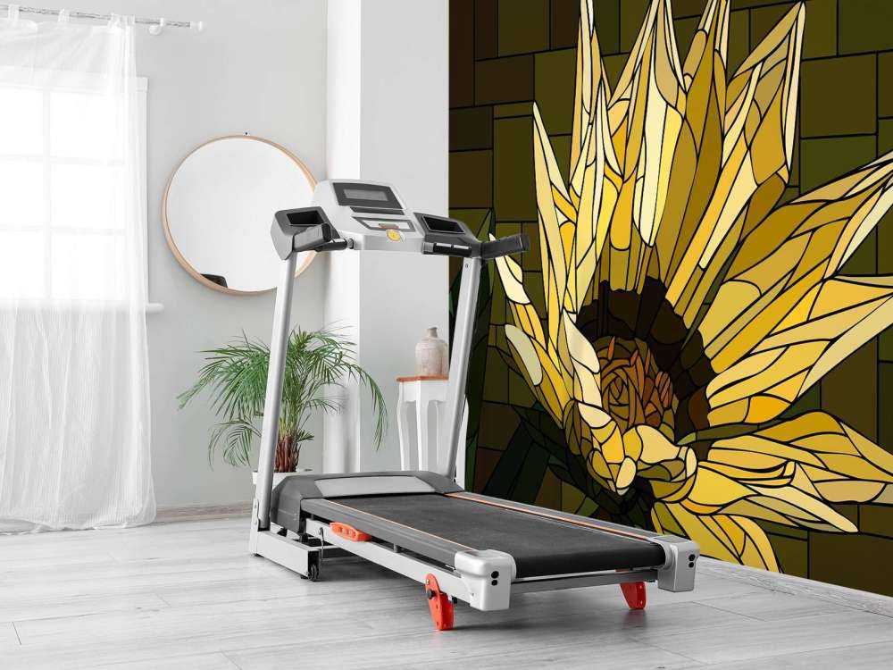 Yellow gazania in bloom