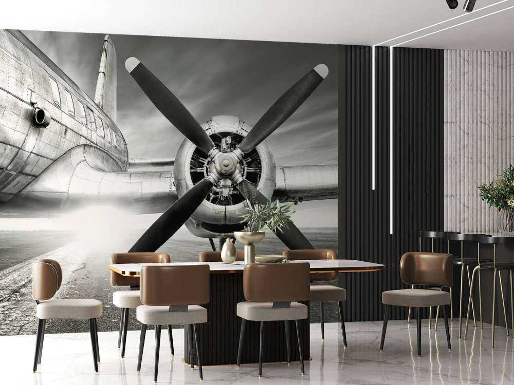 Vintage vliegtuig in zwart-wit