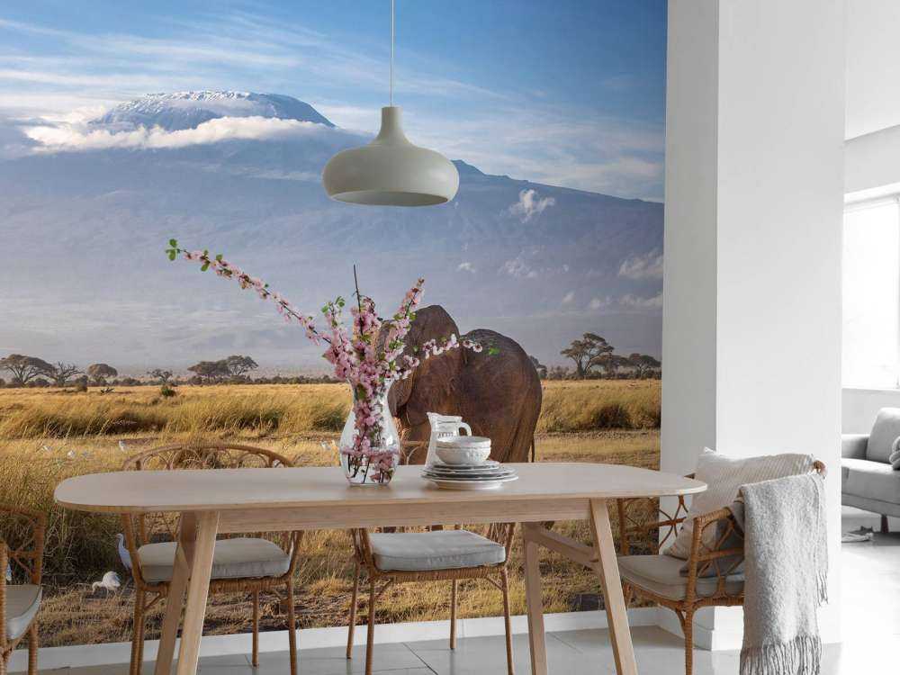 Afrikaanse olifant in een grasland