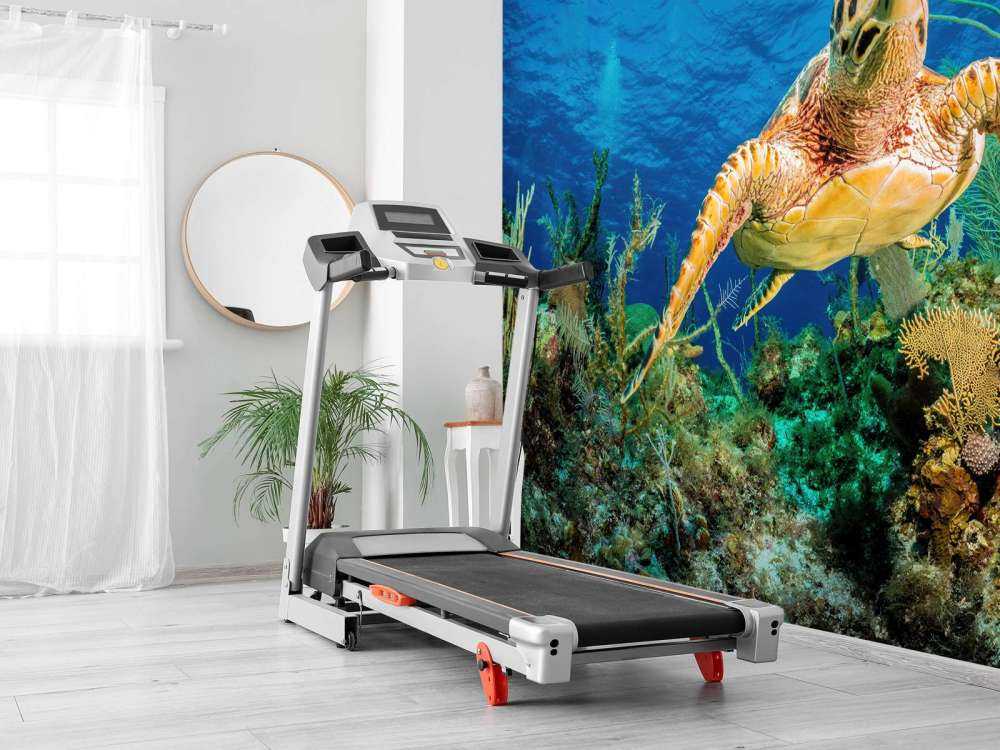 Hawksbill turtle swimming through Caribbean reef