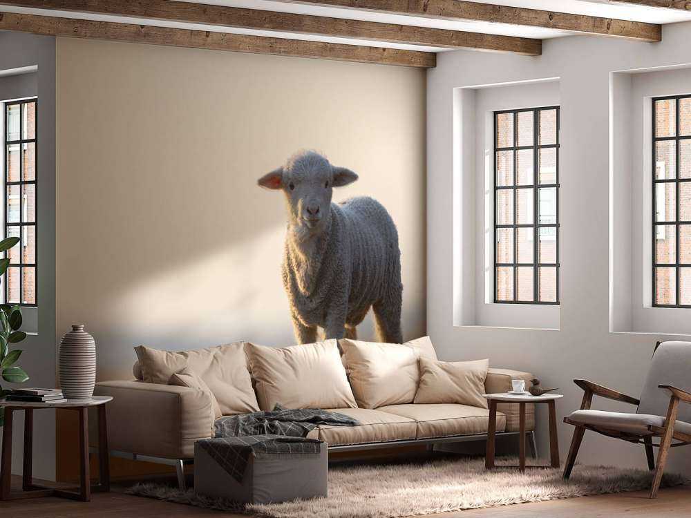 Lamb