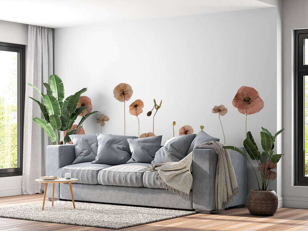 Poppy flower field colourful