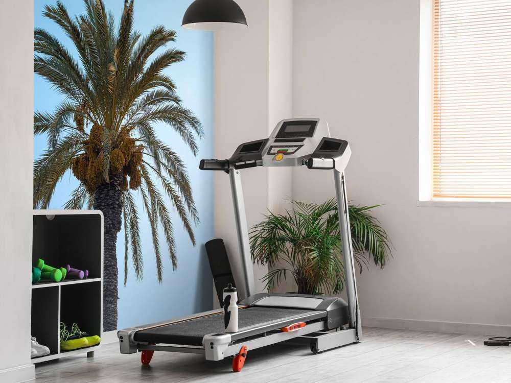 Blauw lucht en palmboom