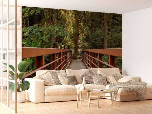 Rusty bridge in the forest 