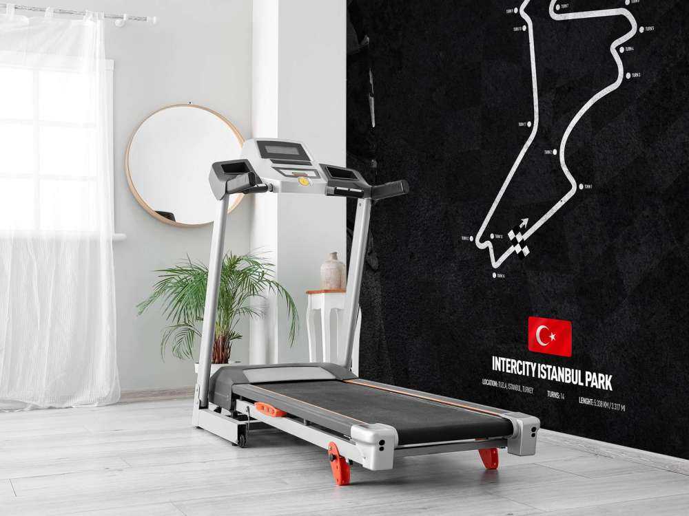 Formule 1 circuit - Intercity Istanbul Park - Turkey