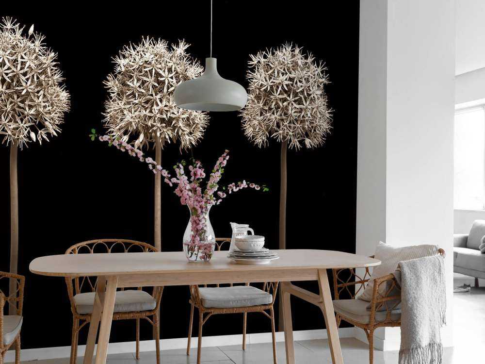 Three allium flowers in a row