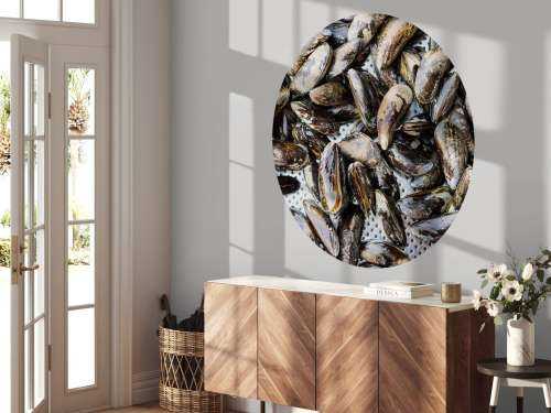 Mussels