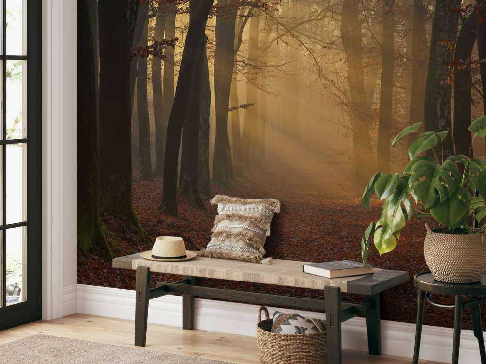 Mysterious autumn forest