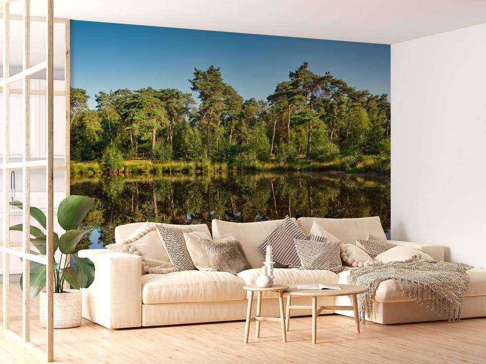 Reflection in woodland marsh