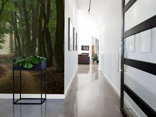 Sandpath in the forest
