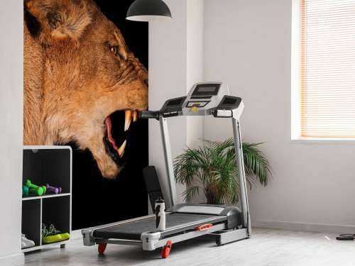 Lioness side view