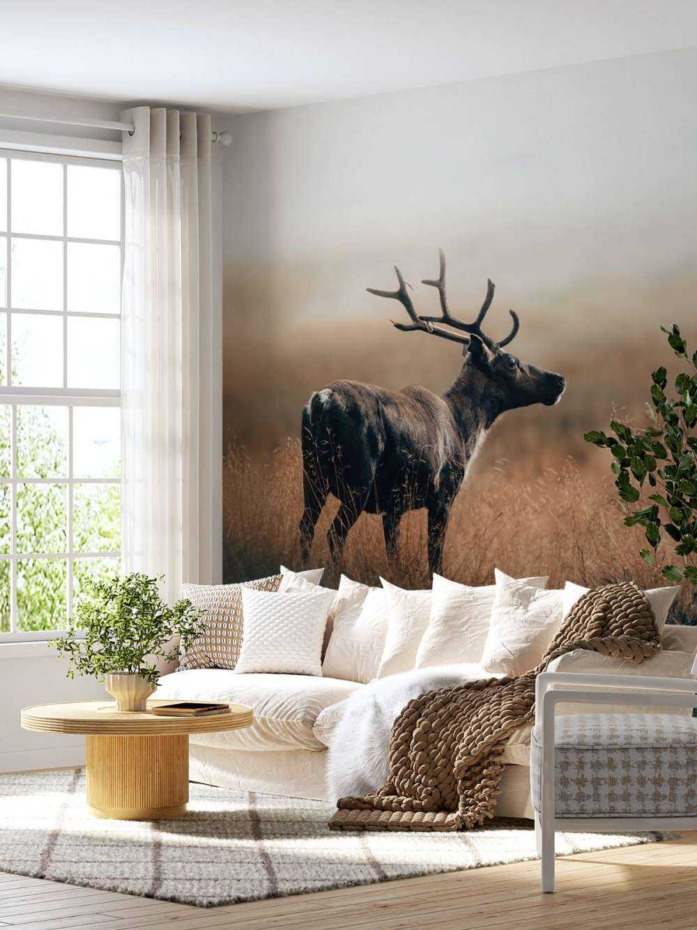 Reindeer in the high grass