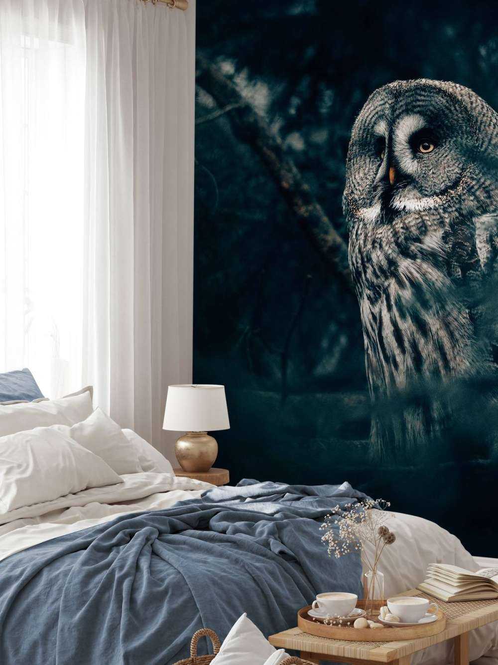 Owl in tree