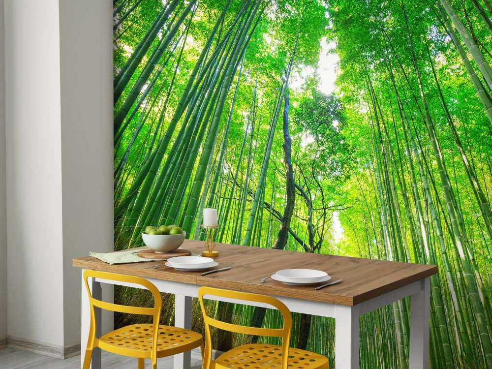 Bamboo forest of Arashiyama