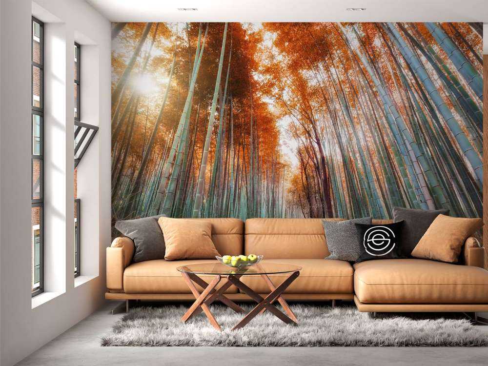 Autumn bamboo forest