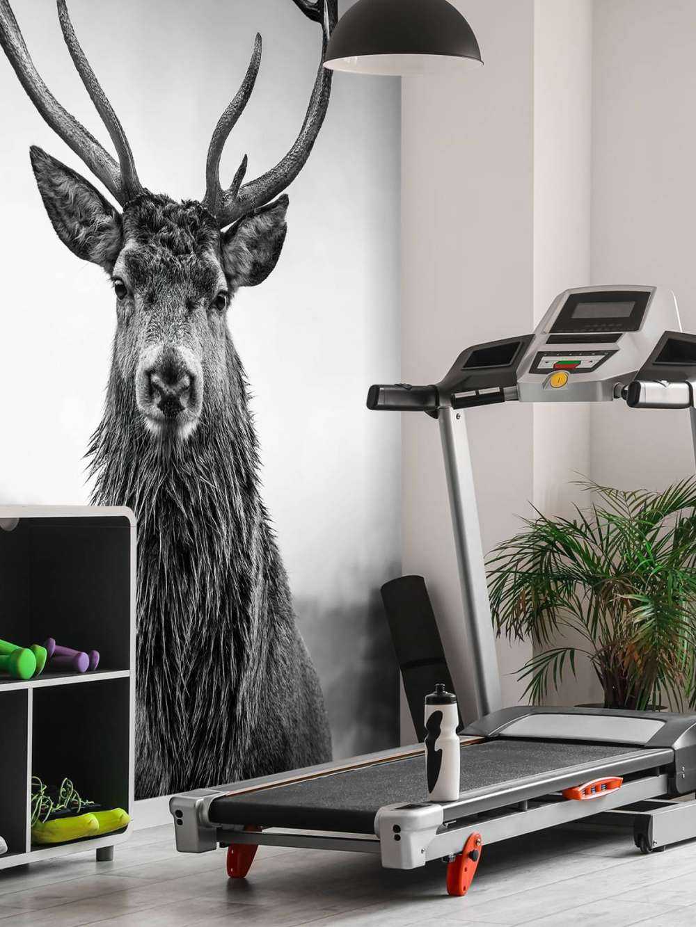 Big deer