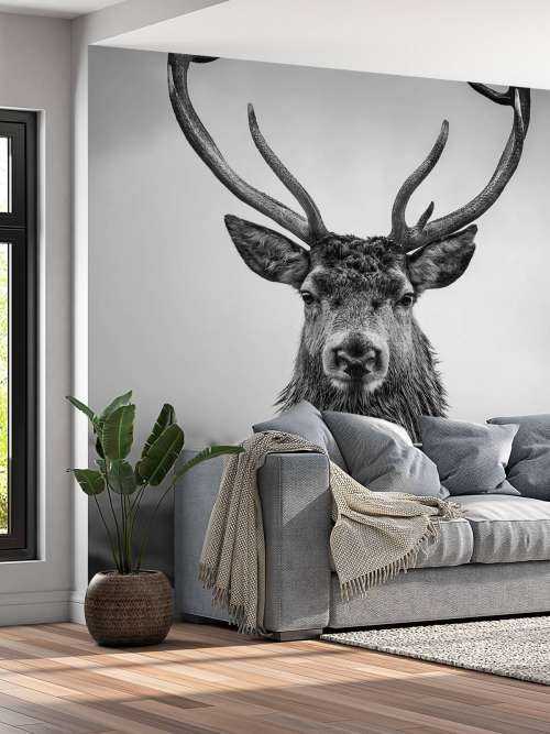 Big deer