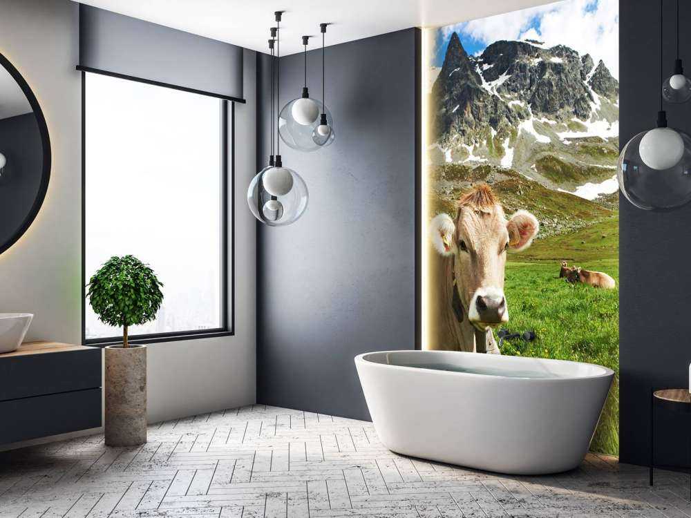 Austrian cow