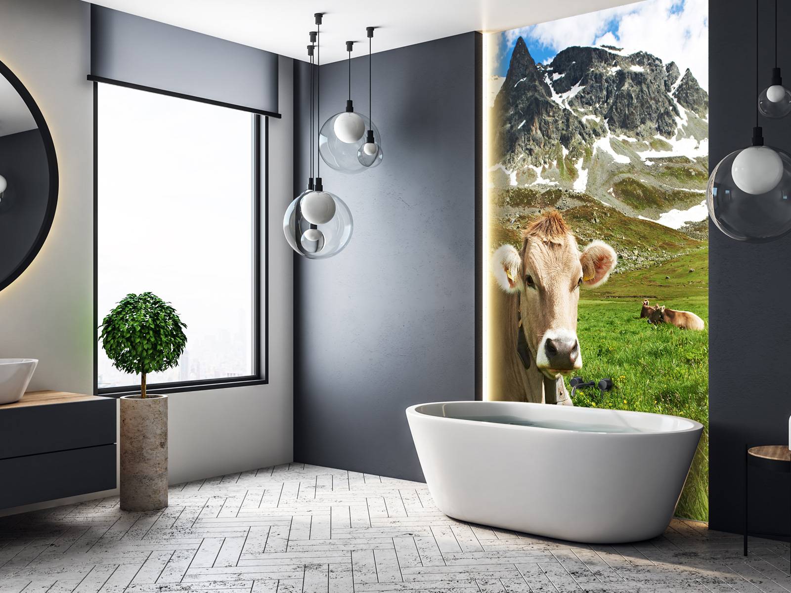 Austrian cow