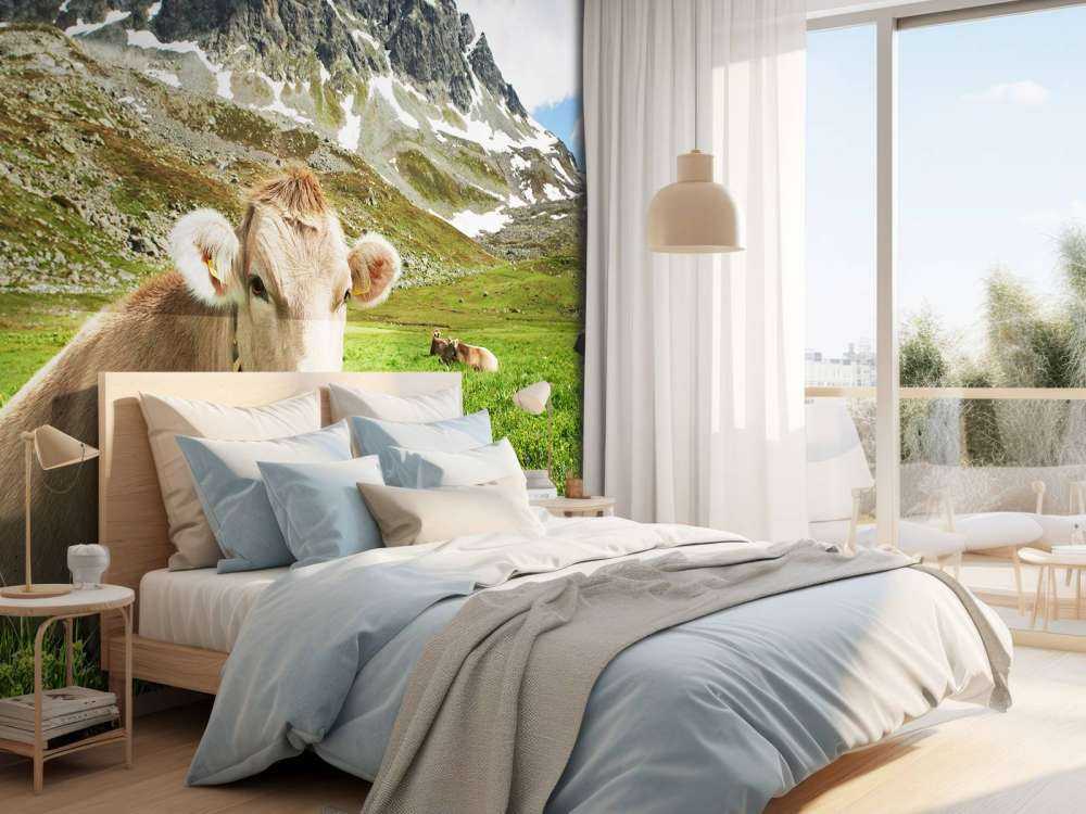 Austrian cow