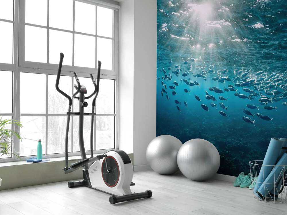 School of fish