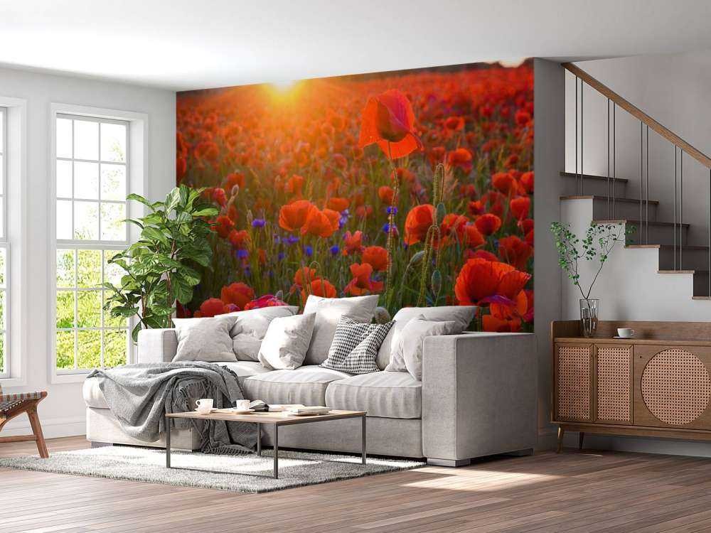 Poppies with rising sun