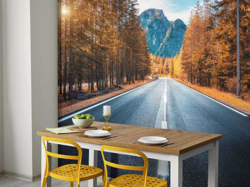 Road in autumn