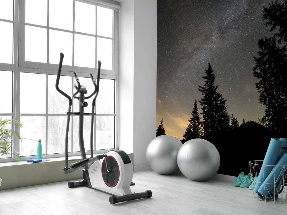 W03161