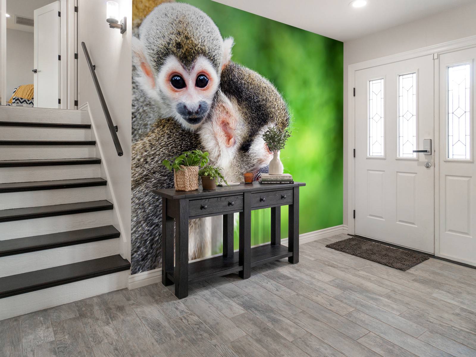 Squirrel monkeys