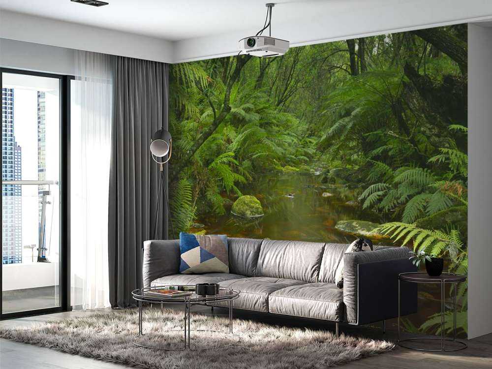 River in the rainforest