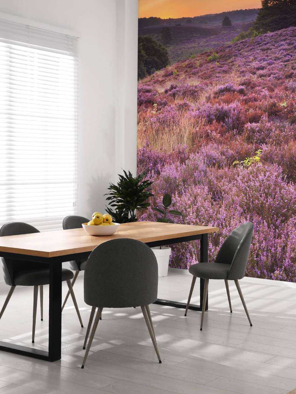 Sunset in the Posbank