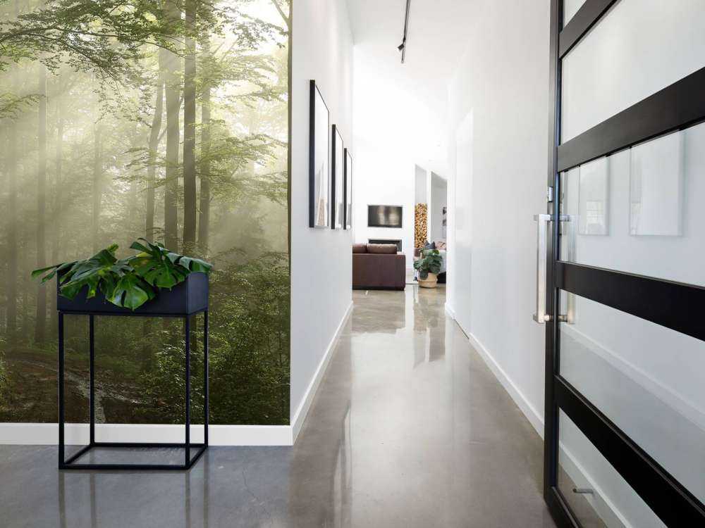Green forest in the fog