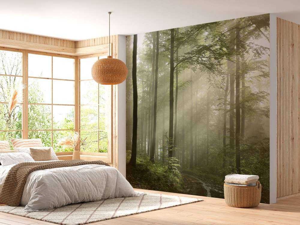 Green forest in the fog