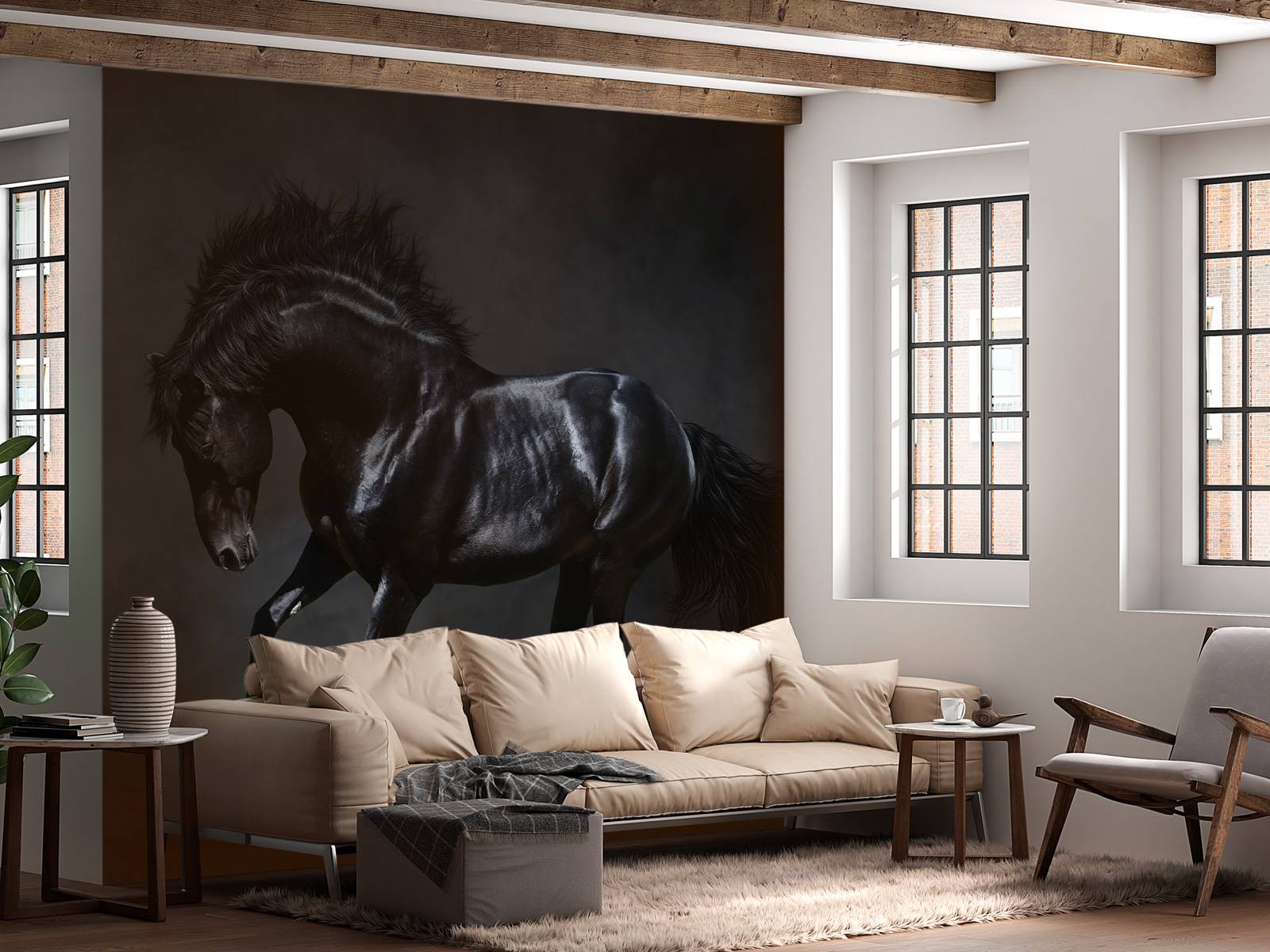 Black stallion