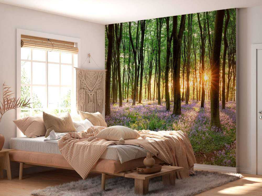 Forest path at sunrise