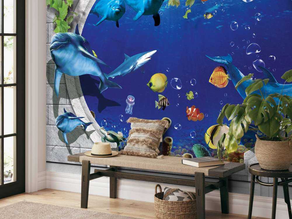 Dolphins through the wall