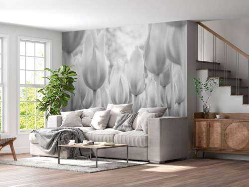 Tulipfield