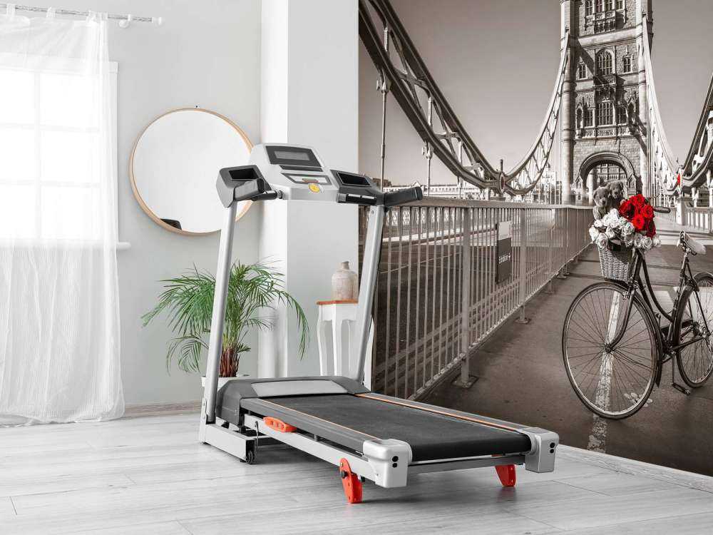 Puppies in a bicycle basket