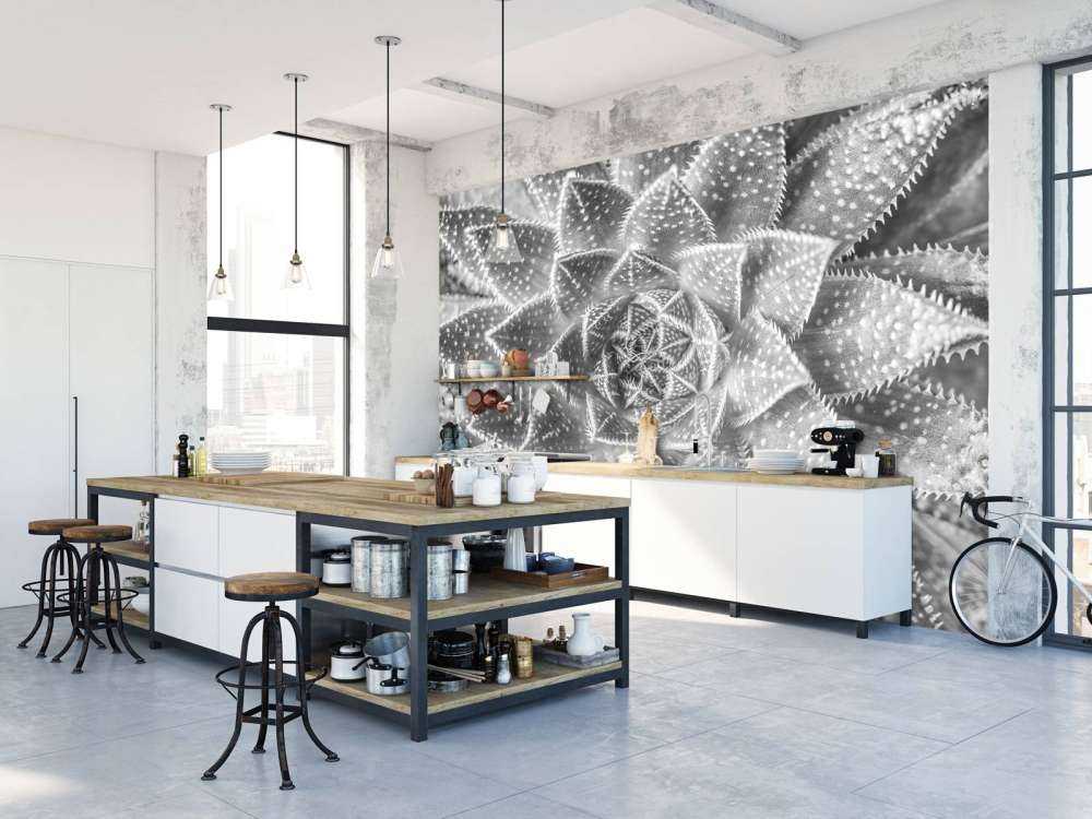 Succulent in black and white